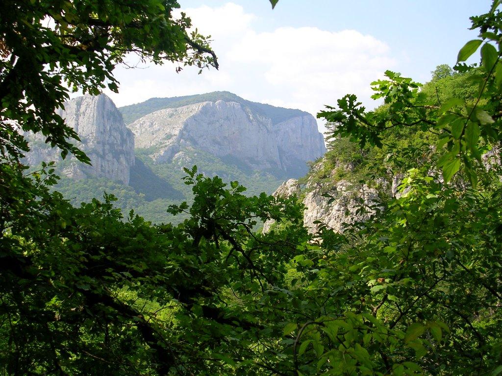 Богатир з panoramio.com - Богатир