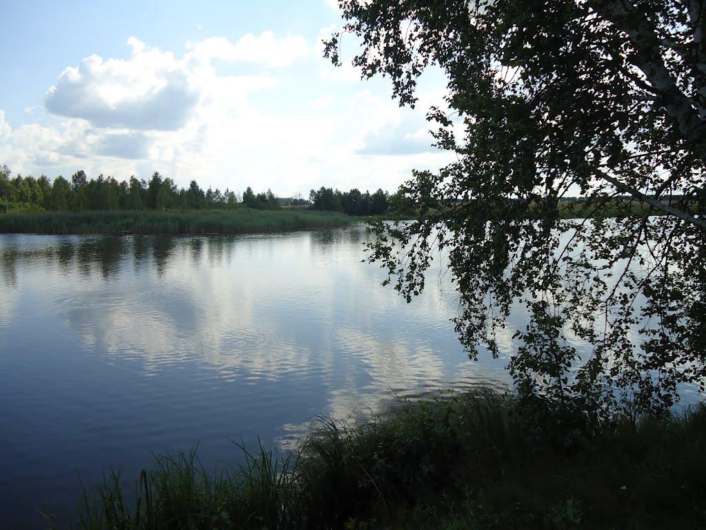 Літки з panoramio.com - Літки