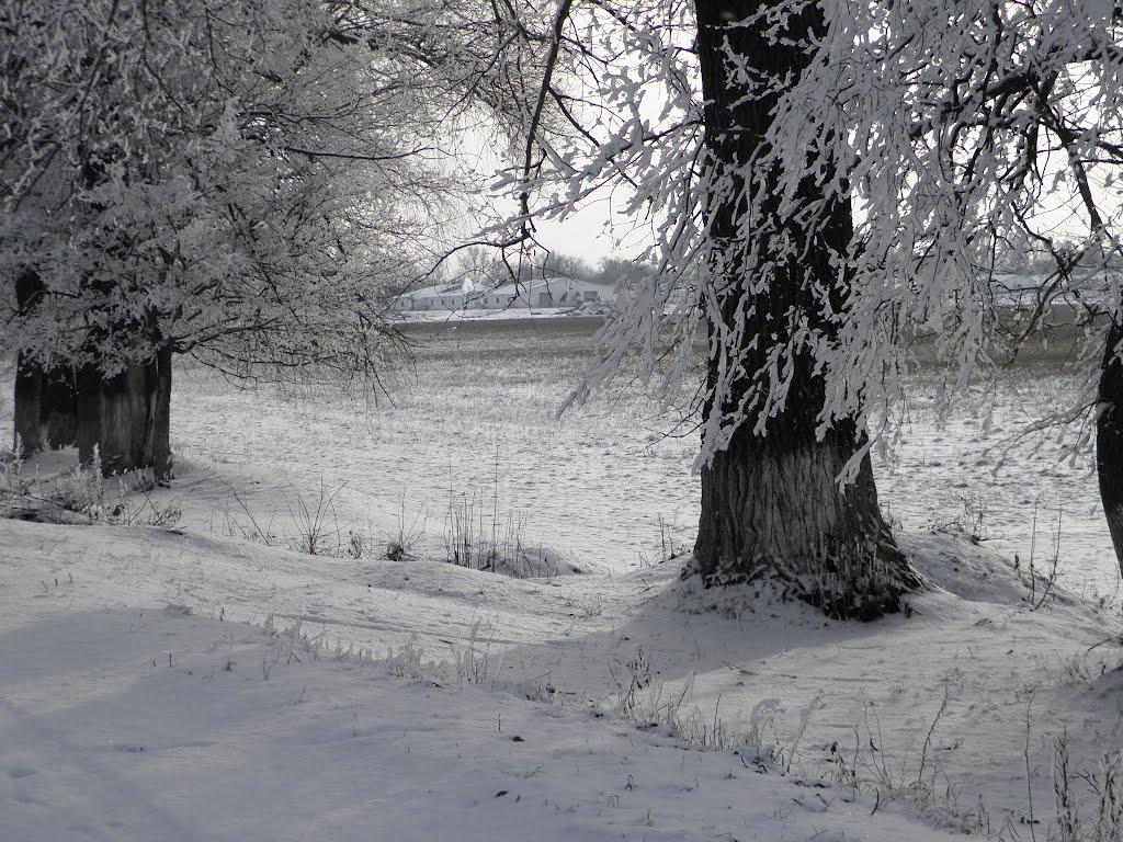 Клепачі з panoramio.com - Клепачи