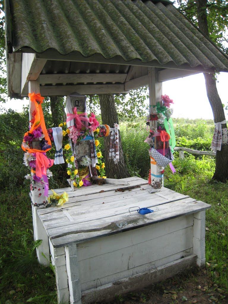 Удрицьк з panoramio.com - Udrytsk