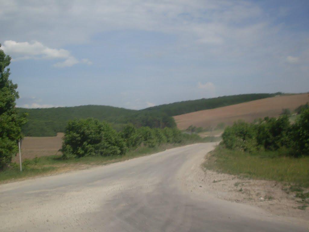 Гуменці з panoramio.com - Гуменці
