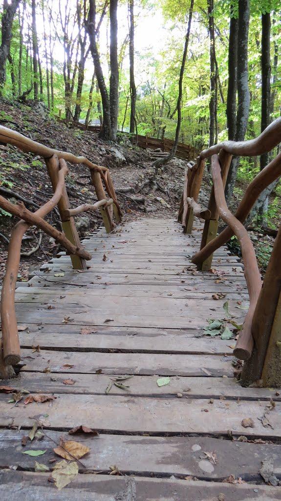 Соколине з panoramio.com (ч.2) - Соколиное
