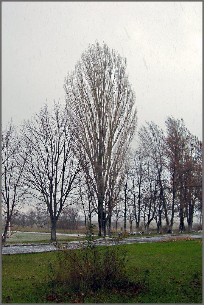 Шкільне з panoramio.com - Школьное