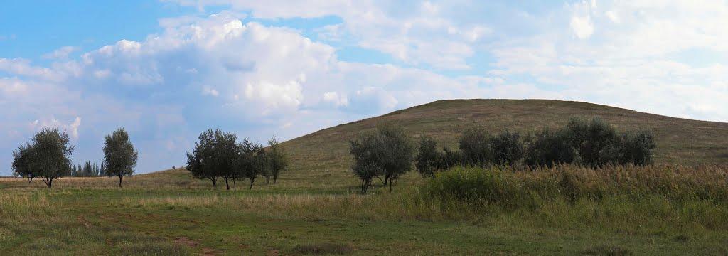 Лозове з panoramio.com - Лозовое