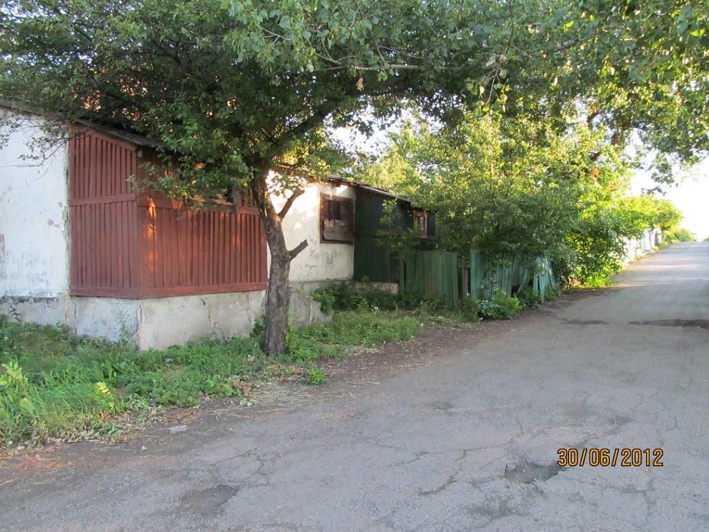 Вергулівка з panoramio.com - Вергулівка