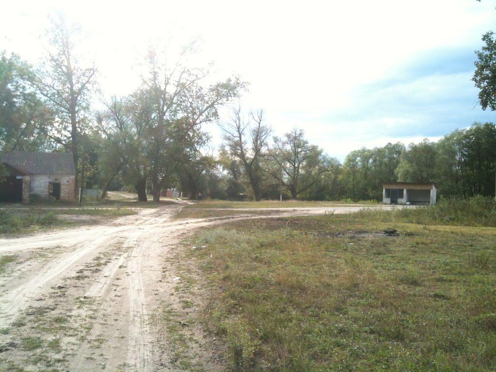 Любитове з panoramio.com - Любитово