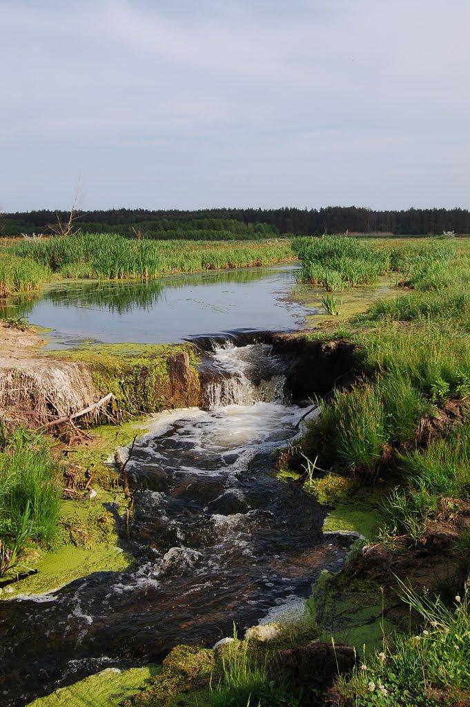 Шелудьківка з panoramio.com - Sheludkivka