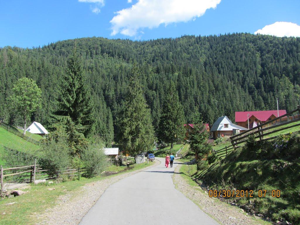 Синевирська Поляна з panoramio.com - Синевирская Поляна