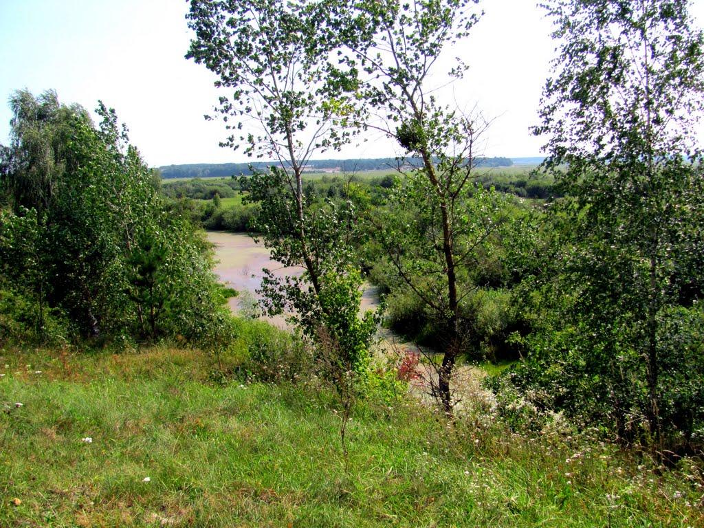 Нетреба з panoramio.com - Нетреба