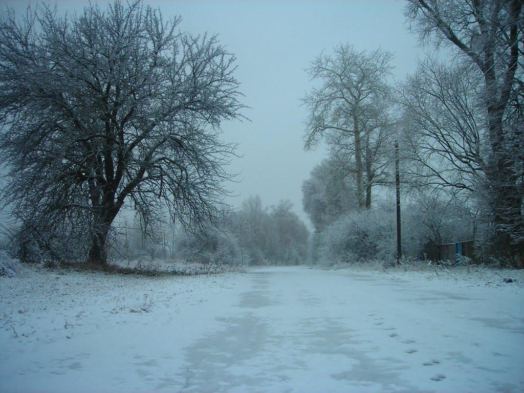 Вольниця з panoramio.com - Вольниця