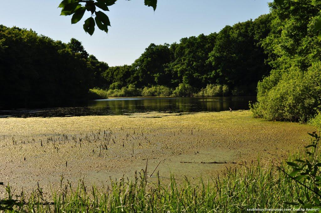 Ворониця з panoramio.com - Вороница