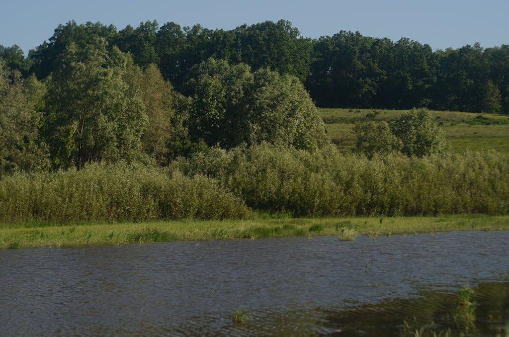 Польова з panoramio.com - Полевая