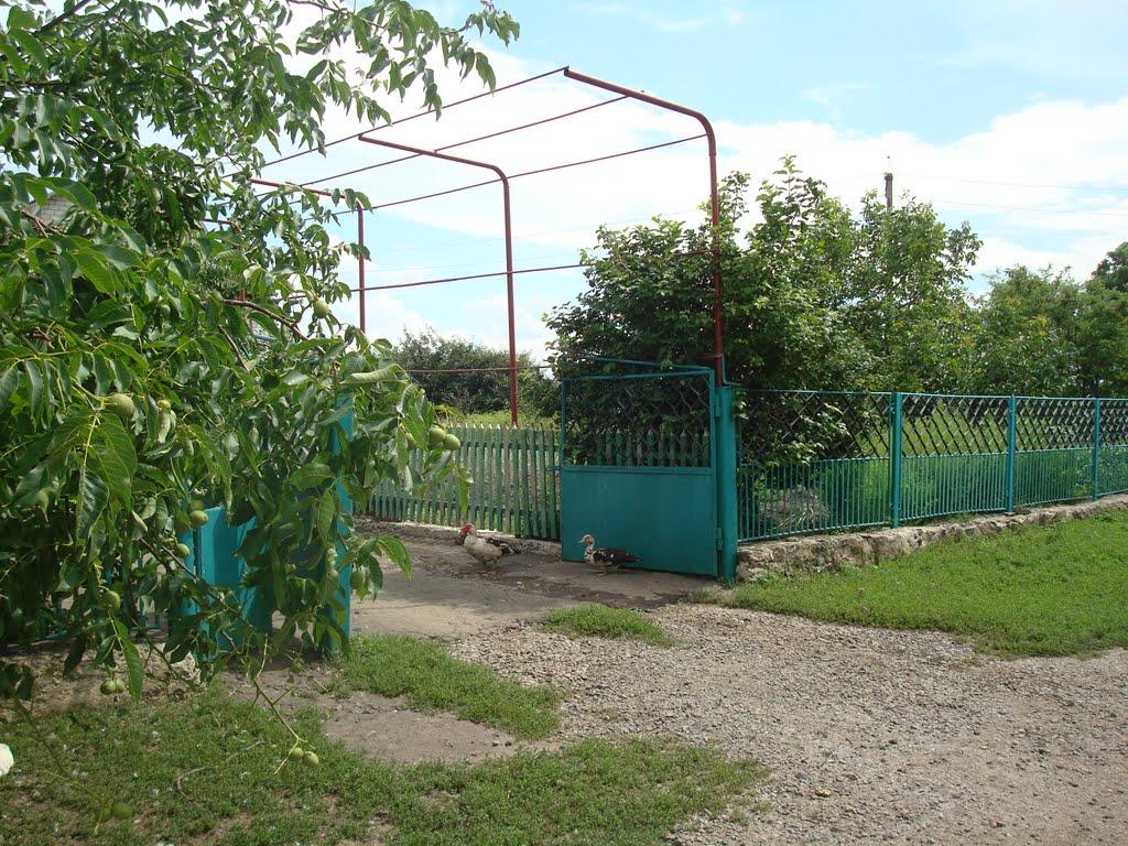 Побузьке з panoramio.com - Pobuzke