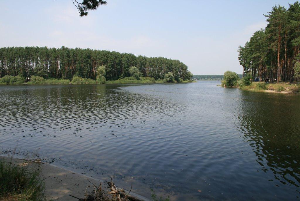 Старий Салтів з panoramio.com - Старый Салтов