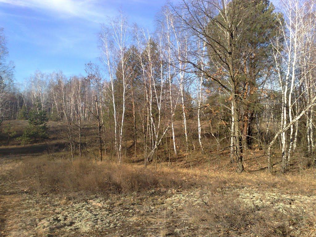 Ковалин з panoramio.com - Ковалин