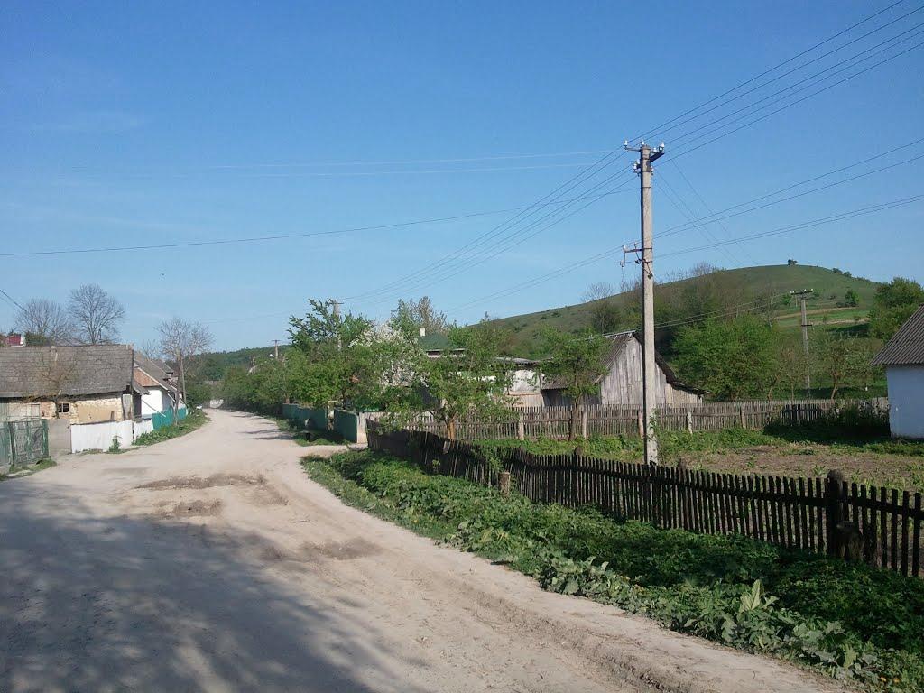 Слов'ятин з panoramio.com - Слов'ятин