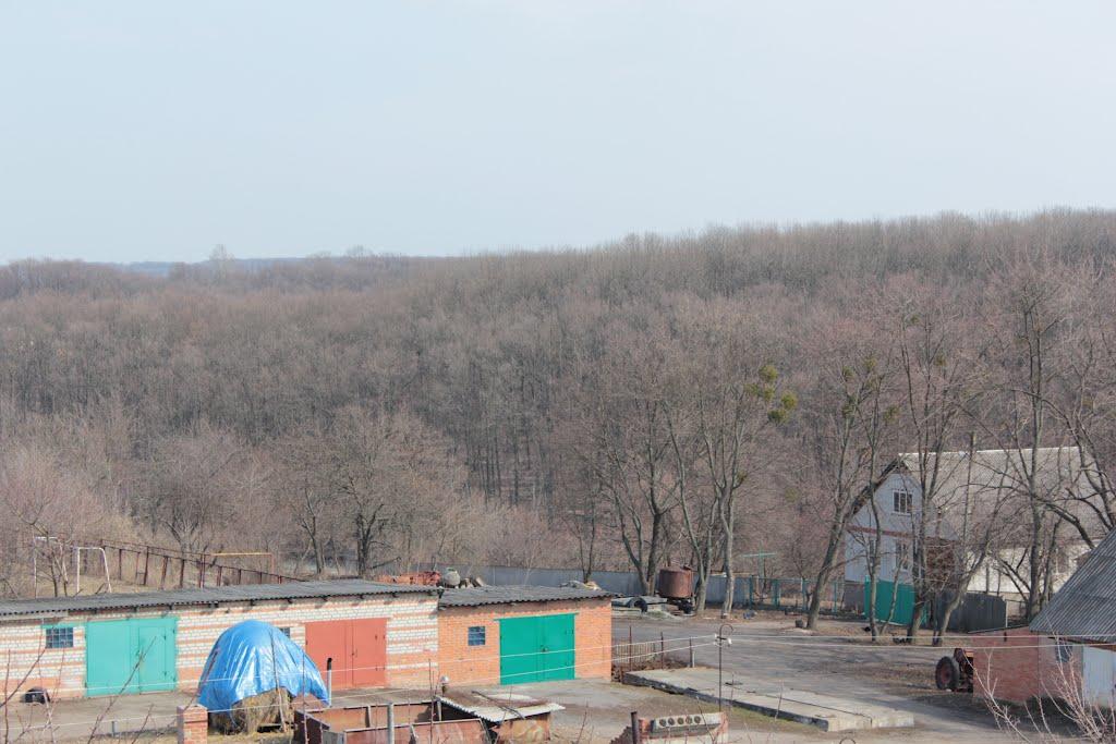 Дублянка з panoramio.com - Дублянка