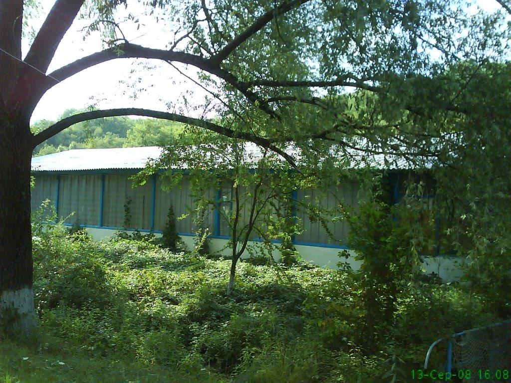 Новобобрівське з panoramio.com - Новобобрівське