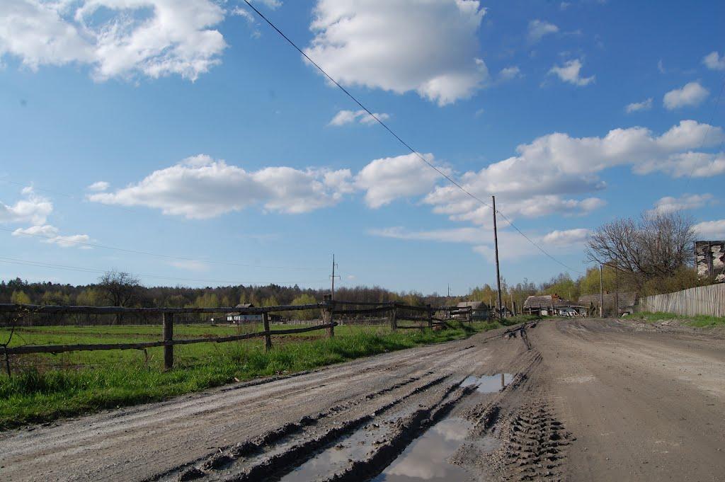 Рудня-Новенька з panoramio.com - Рудня-Новенькая