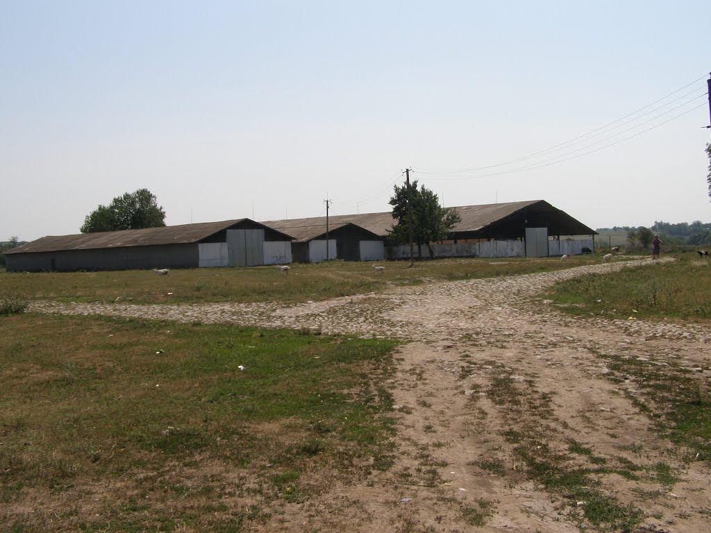 Велика Мочулка з panoramio.com - Велика Мочулка