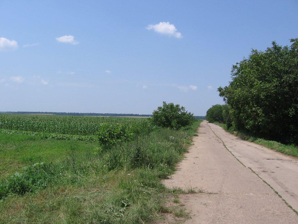 Загнітків з panoramio.com - Загнітків