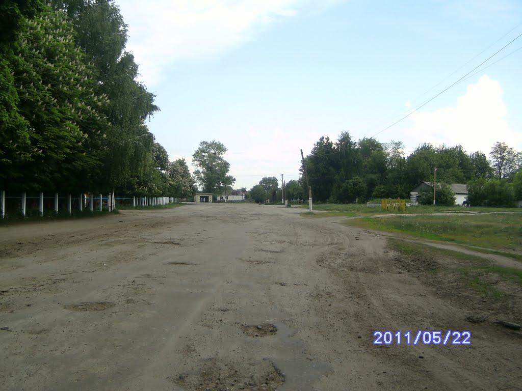 Полошки з panoramio.com - Полошки