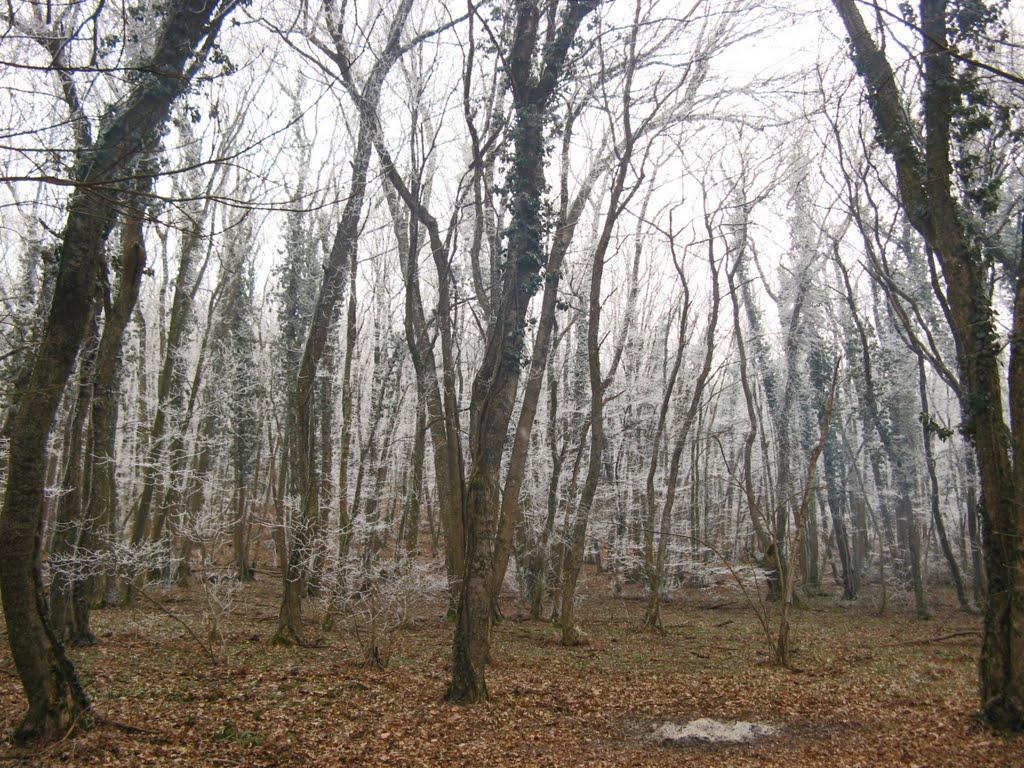 Багате з panoramio.com - Багате