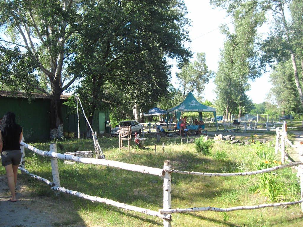 Кияшки з panoramio.com - Кияшки