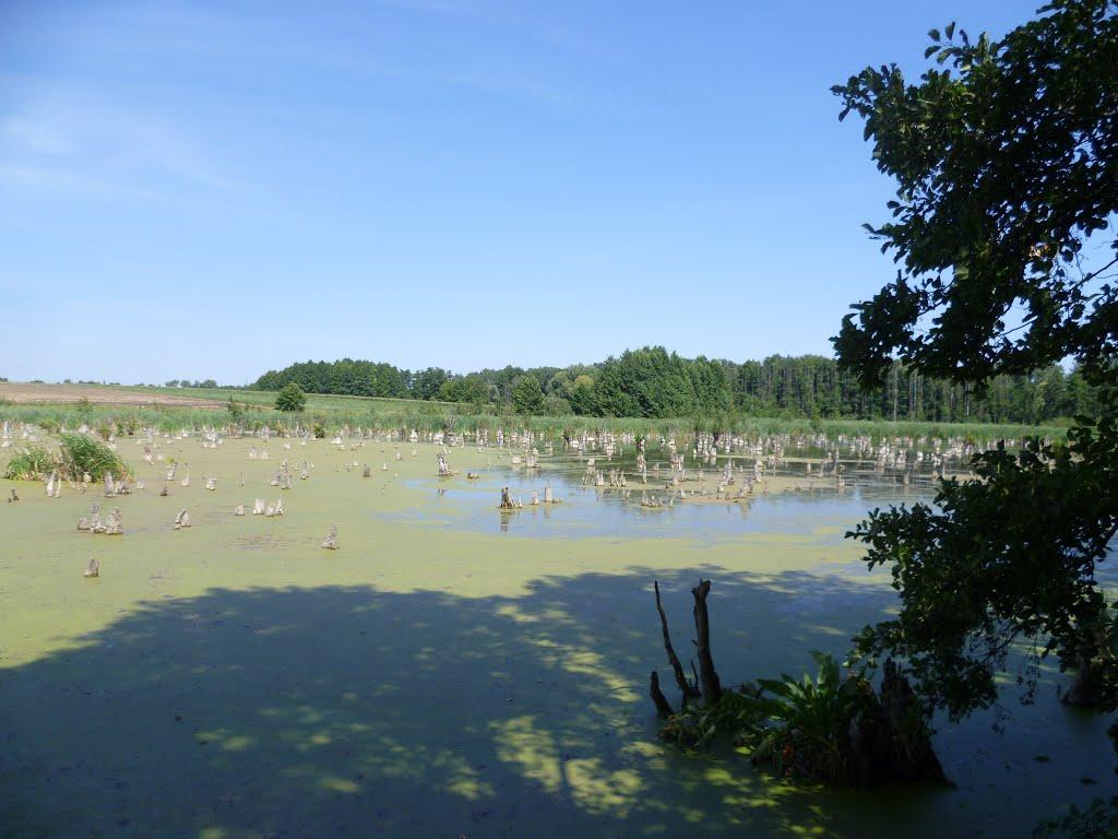 Устивиця з panoramio.com - Устивица