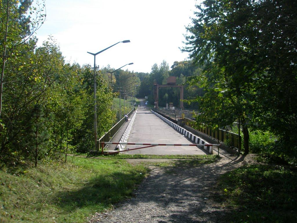 Буки з panoramio.com - Буки