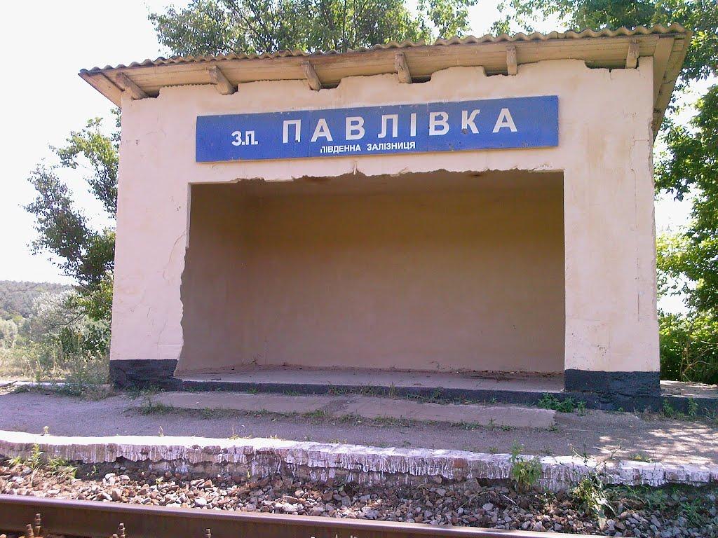 Павлівка з panoramio.com - Павлівка