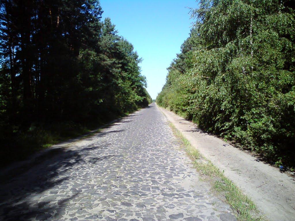 Світязь з panoramio.com - Свитязь