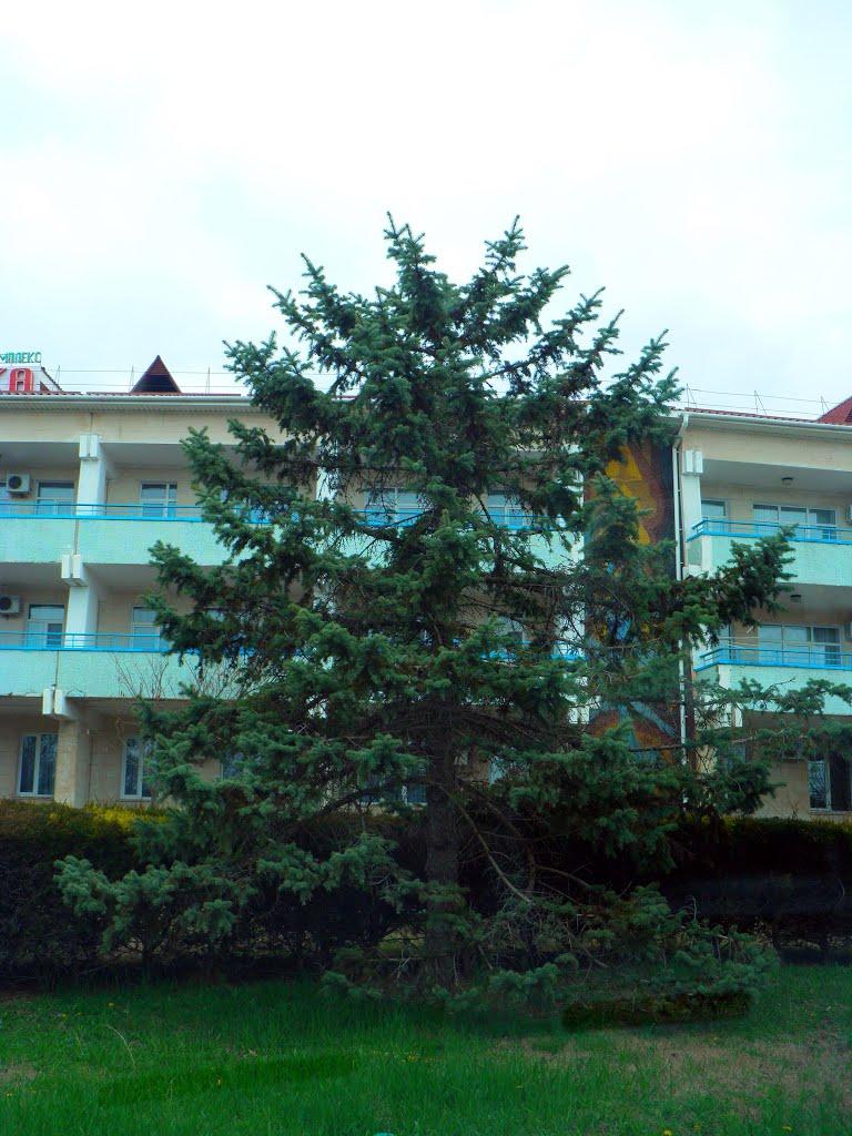 Заозерне з panoramio.com - Заозерне