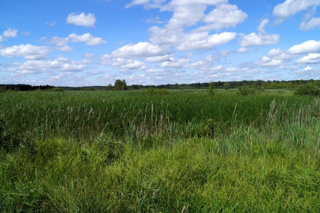 Маневичі з panoramio.com - Маневичи