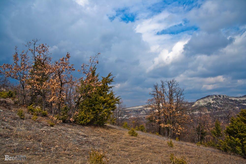 Білокам'яне з panoramio.com - Белокаменное