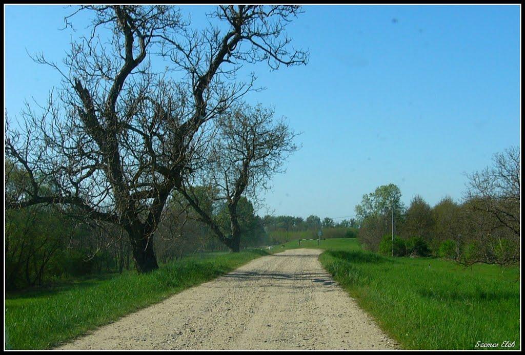 Галабор з panoramio.com - Галабор