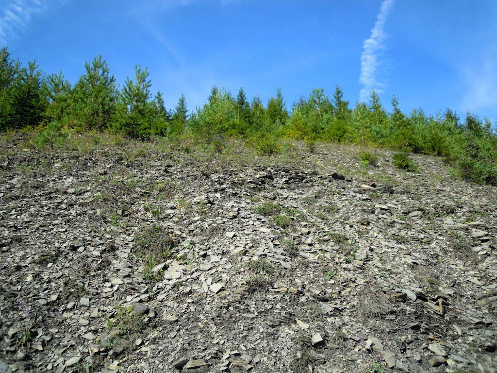 Нижні Ворота з panoramio.com - Нижні Ворота