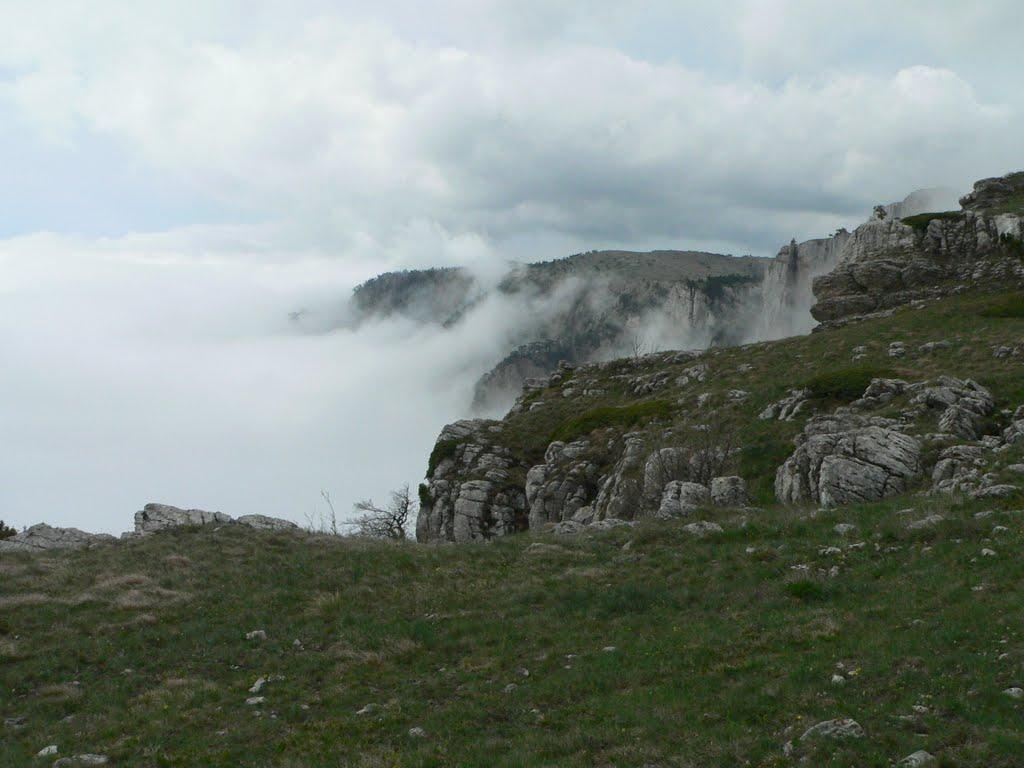 Виноградне з panoramio.com - Виноградное