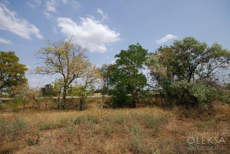 Вінницьке з panoramio.com - Вінницьке