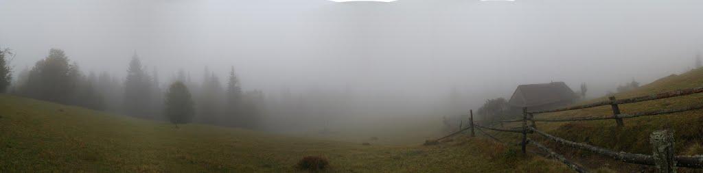 Синевирська Поляна з panoramio.com - Синевирская Поляна