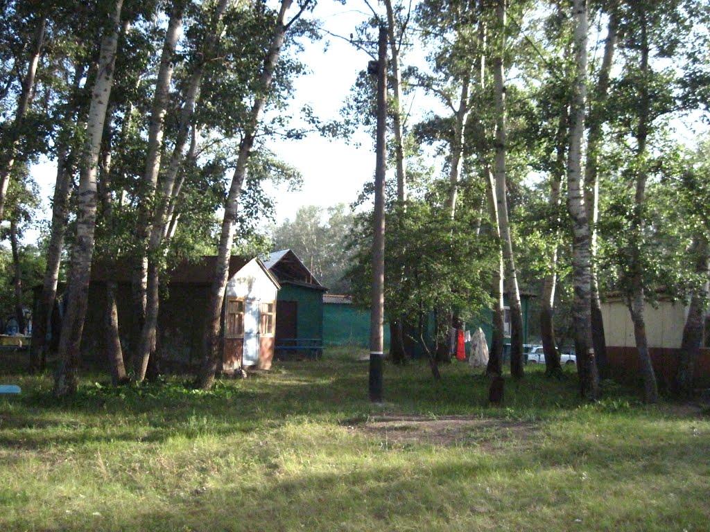 Кияшки з panoramio.com - Кияшки