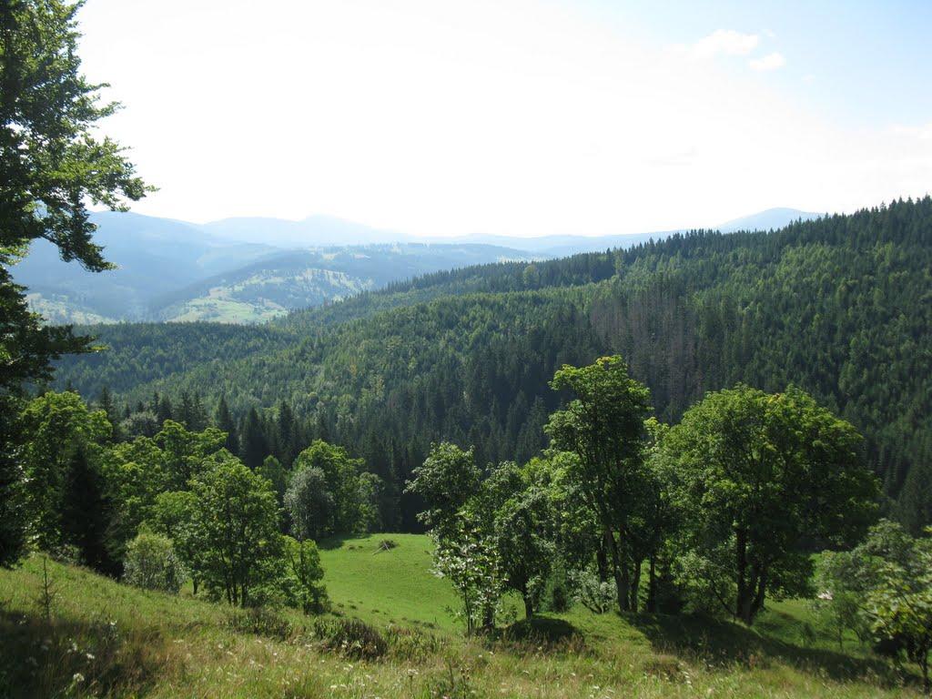 Сенечів з panoramio.com - Сенечів