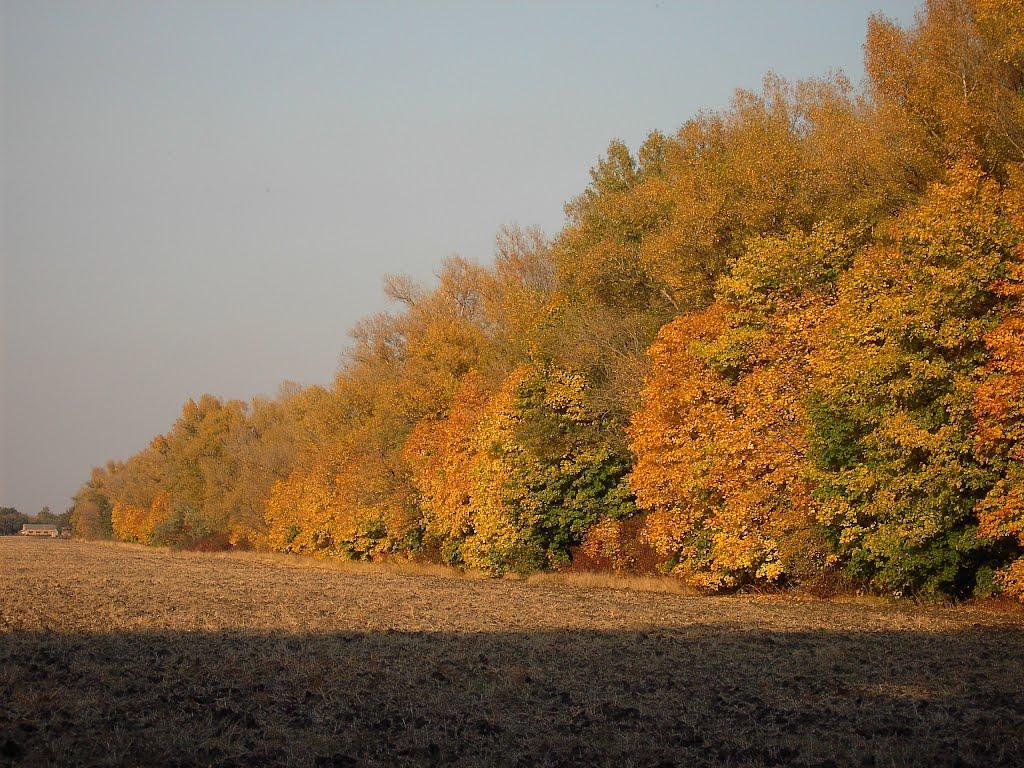 Зарічне з panoramio.com - Зарічне