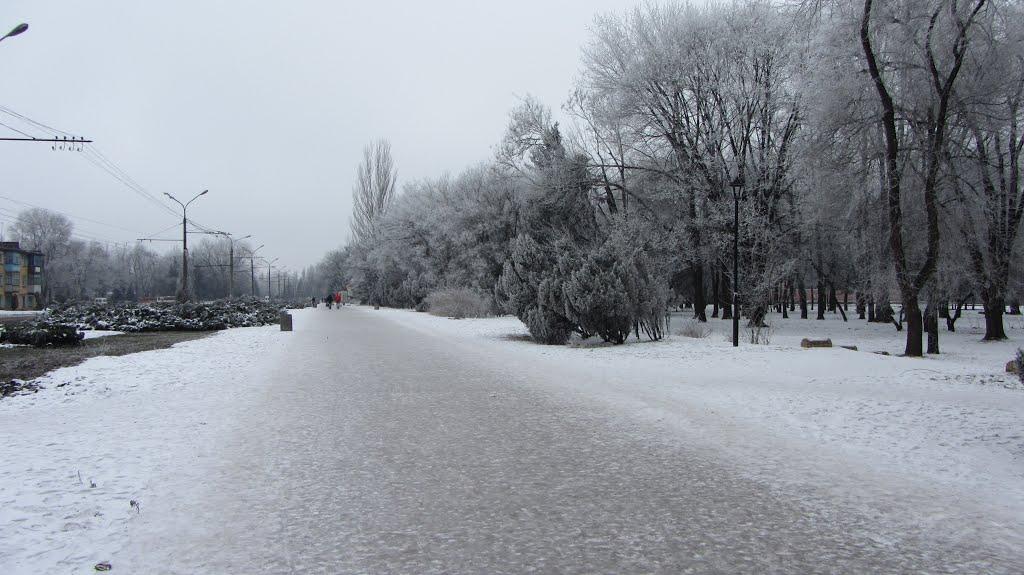 Кам'яне Поле з panoramio.com - Кам'яне Поле