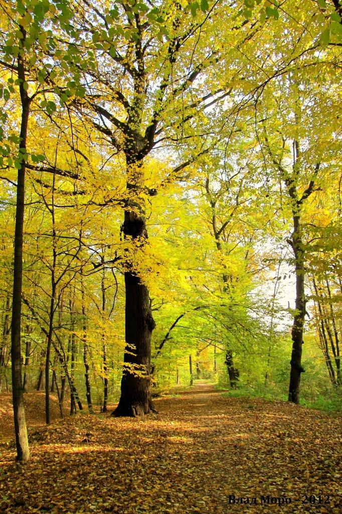 Софіївська Борщагівка з panoramio.com (ч.2) - Софиевская Борщаговка