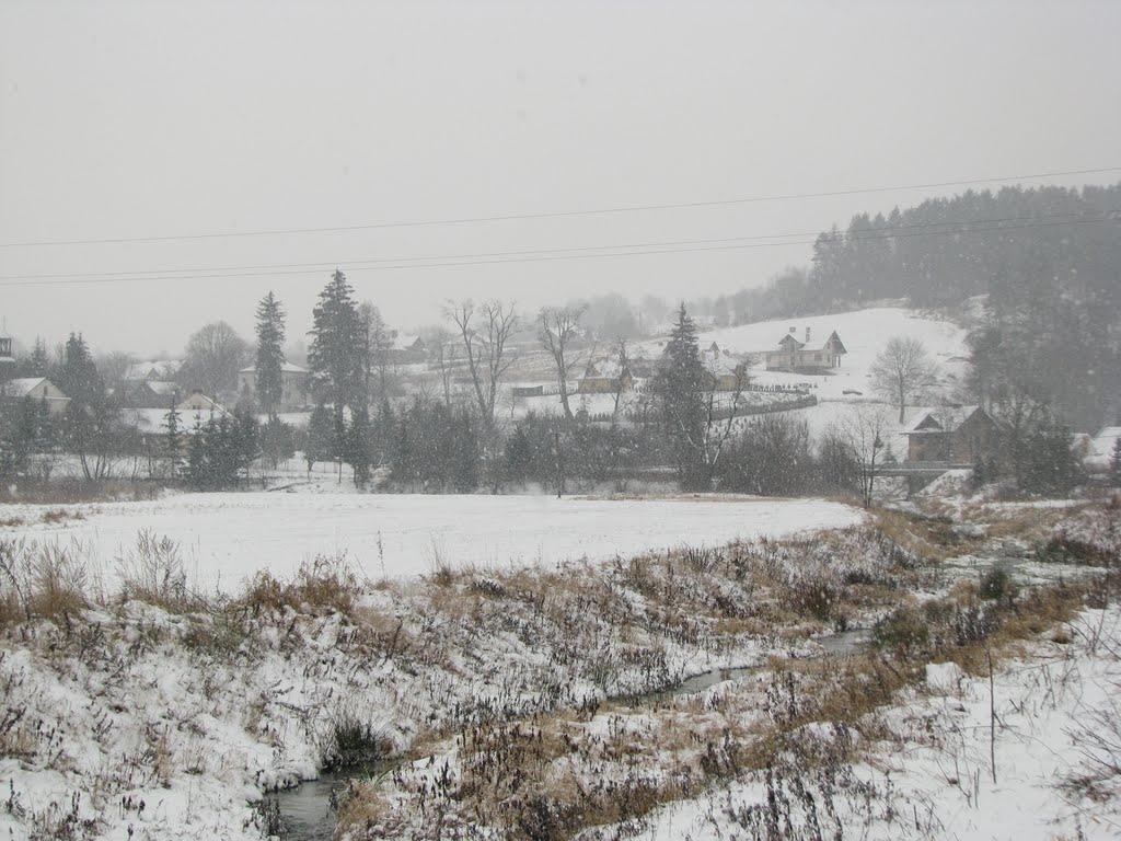 Нижанковичі з panoramio.com (ч.2) - Nyzhankovychi