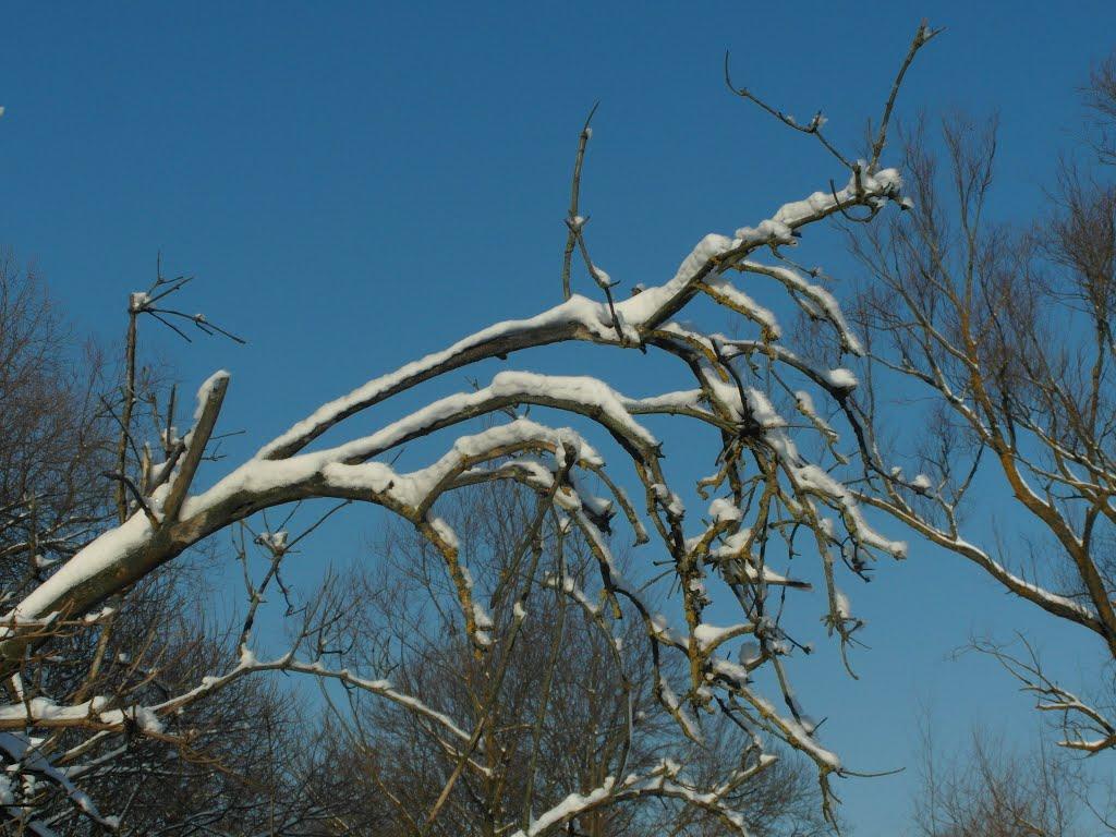 Тарноруда з panoramio.com - Тарноруда