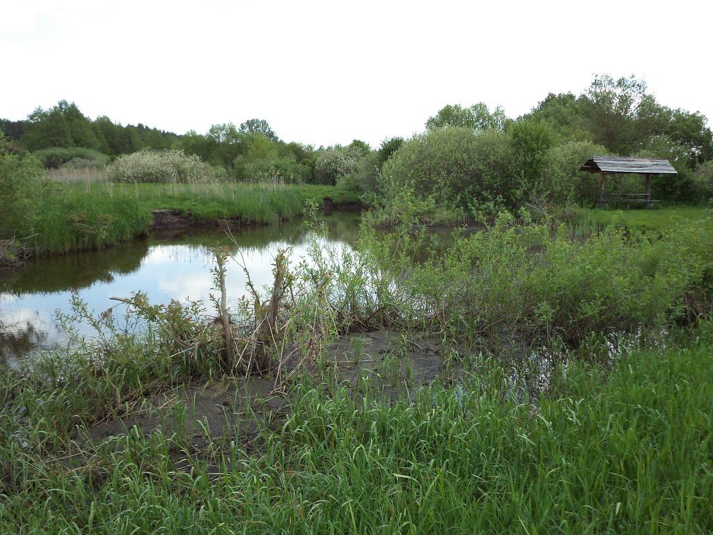 Бодячів з panoramio.com - Бодячів