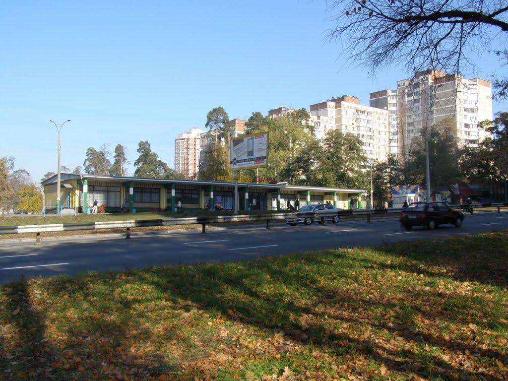 Петропавлівська Борщагівк з panoramio.com - Петропавловская Борщаговк