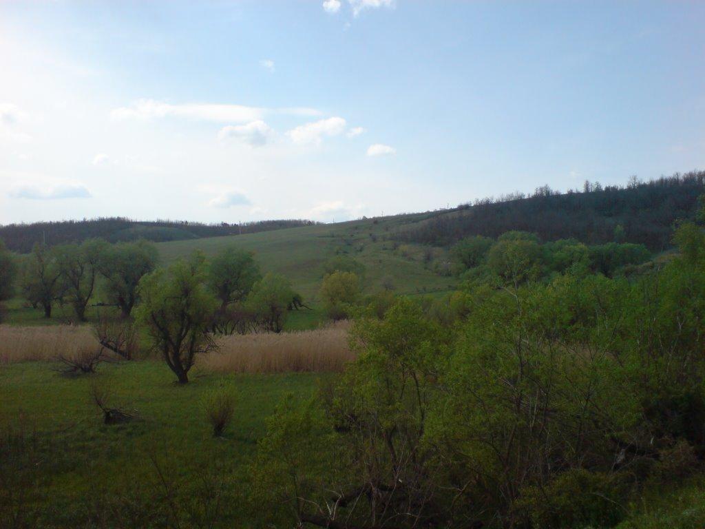 Гонората з panoramio.com - Гонората